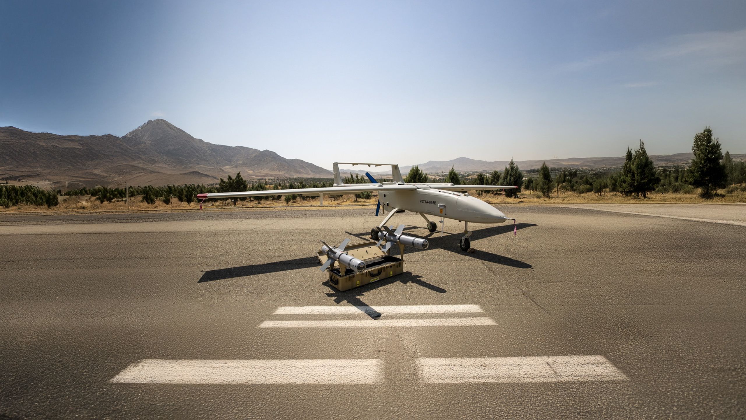 Green, undulating lines create an abstract pattern.